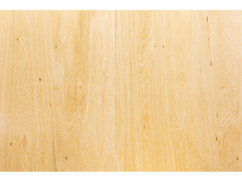 img-9736demobewbackground5